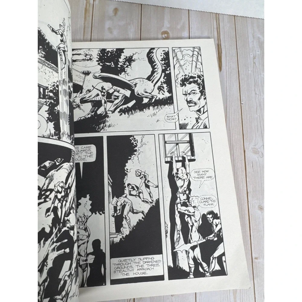 Southern Knights Graphic Novel Vogel Guice 1986 1st Ed Comics Interview